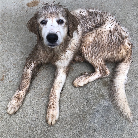 Meet your Posher, Ashley - Picture 8 of 9